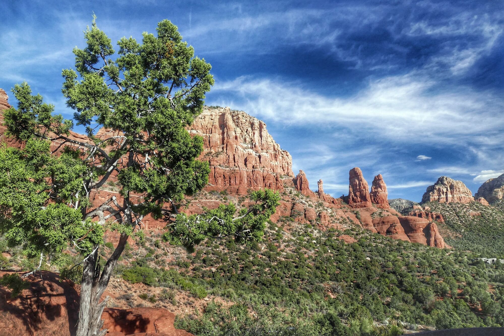 Juniper and red rock above Sedona